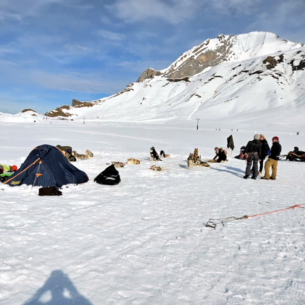 Wie alles begann - Huskys am Stake-out auf der Engstligenalp, ich im Gespräch mit Kunden, erstes Biwak mit Zelt und Schlafsäcken