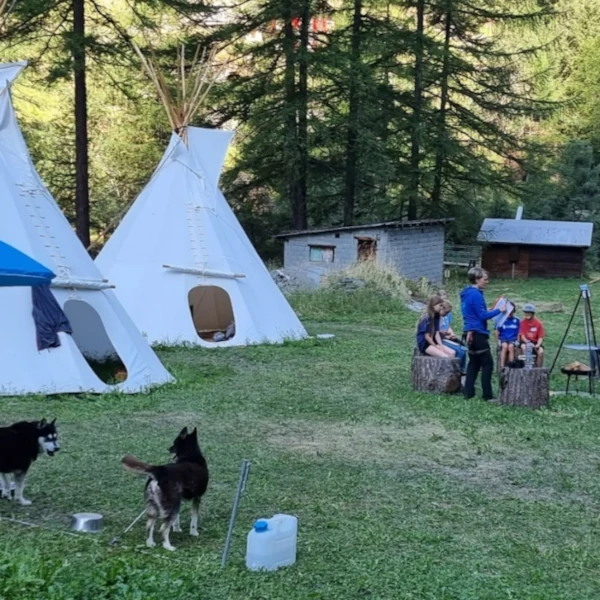Husky-Workshop für Kinder bei den Tipis: Zwei Huskys am Stake-out, während die Kinder mehr über die Hunde und den Schlittenhundesport erfahren.