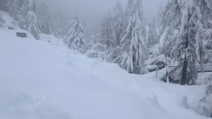 Winterlandschaft vom Haus aus - Bäume und Wiesen tief verschneit, Zweige biegen sich unter der Schneelast