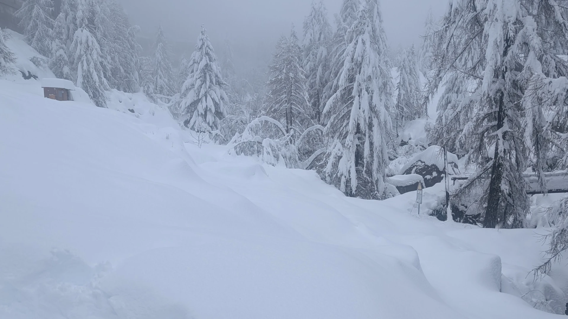 Winterlandschaft vom Haus aus - Bäume und Wiesen tief verschneit, Zweige biegen sich unter der Schneelast