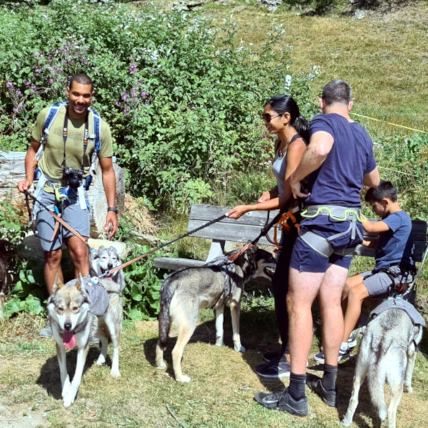 Husky-Trekking mit Familien in Saas-Fee - Pause mit 4 Huskys an einer Holzbank, gemeinsames Naturerlebnis