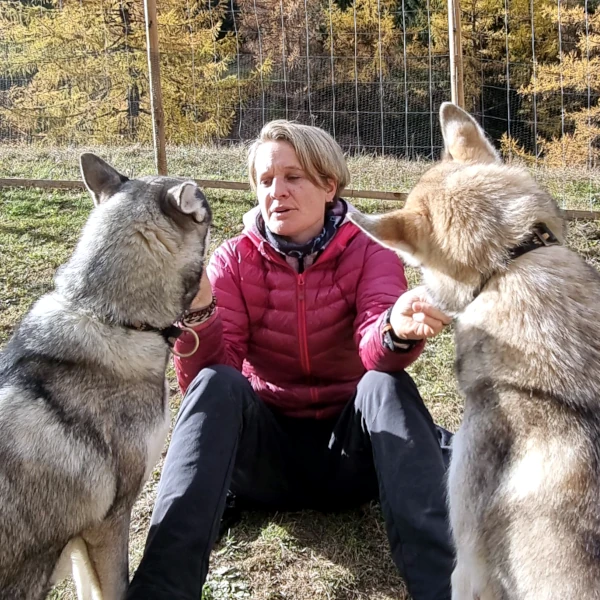 Belohnungsmoment im Sommerauslauf - ich sitze mit zwei Huskys, die fürs Sitz Leckerlis erhalten