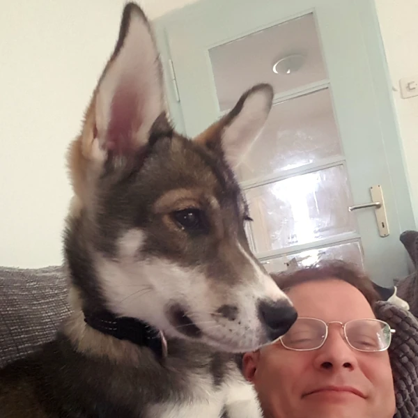 Husky-Welpe Rey mit Phil auf dem Sofa - entspannter Moment voller Nähe und Vertrauen