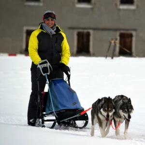 Kunde beim Musher Simplon Event mit einem 2er Huskygespann – unterwegs im Schnee, eingespieltes Team aus Mensch und Hund in winterlicher Bergkulisse.